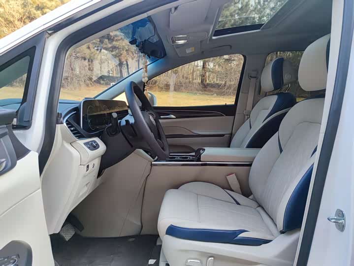 Фото 4 - Buick GL8 ES