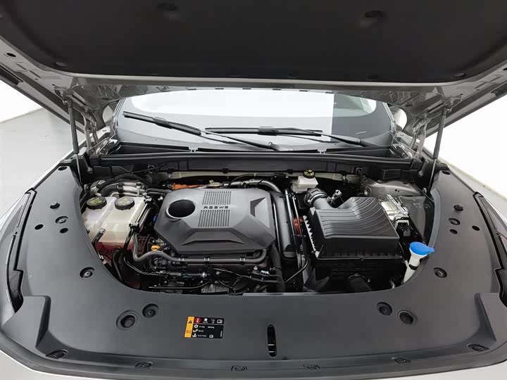 Фото 6 - Roewe D5X DMH