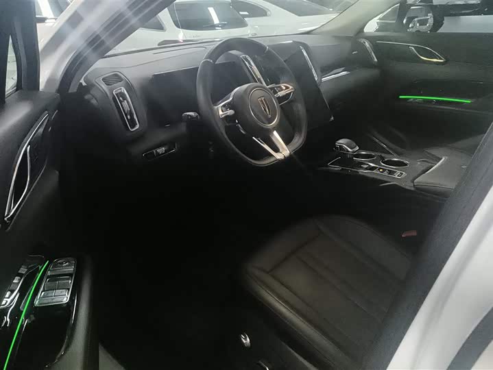 Фото 9 - Hongqi HS3