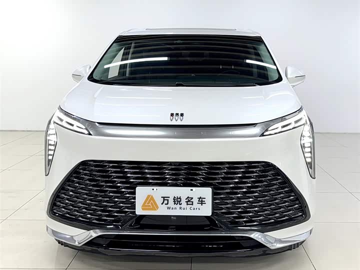 Фото 2 - Buick GL8 Century