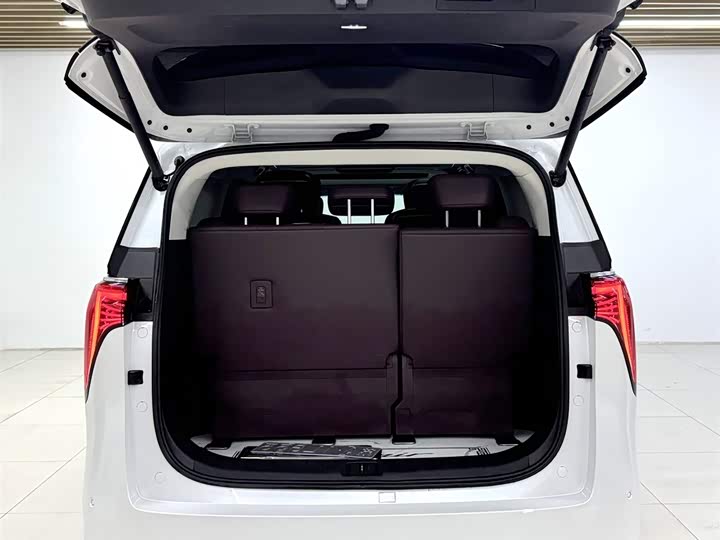 Фото 5 - Buick GL8 Century