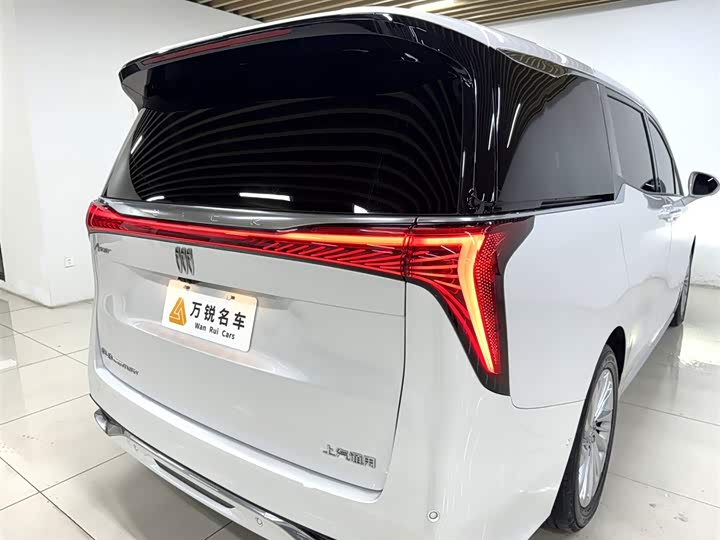 Фото 7 - Buick GL8 Century