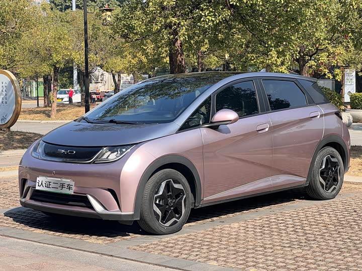 Фото 1 - BYD Dolphin