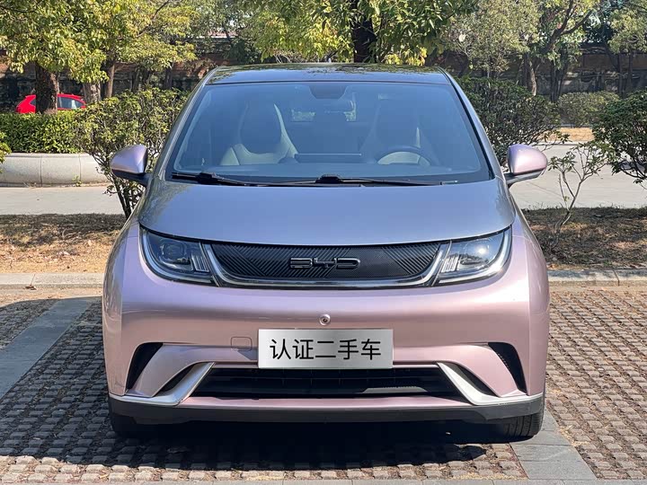 Фото 2 - BYD Dolphin