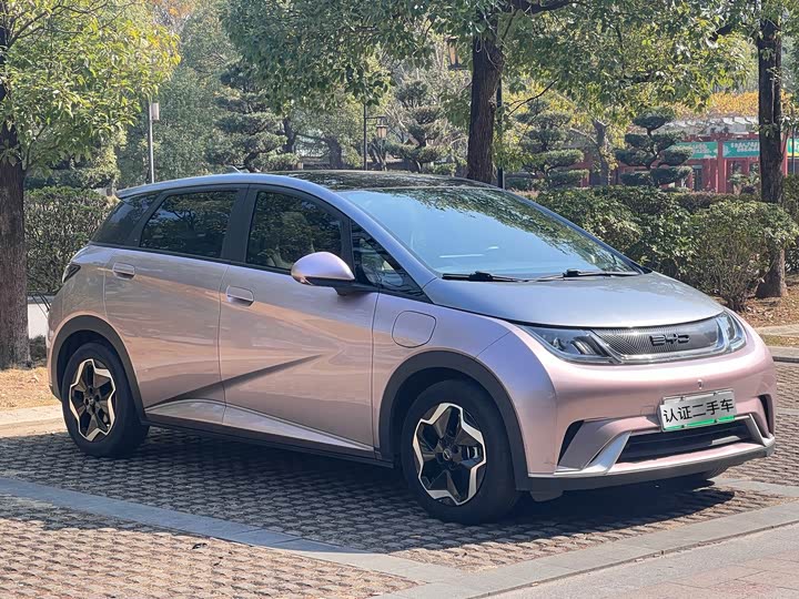 Фото 3 - BYD Dolphin