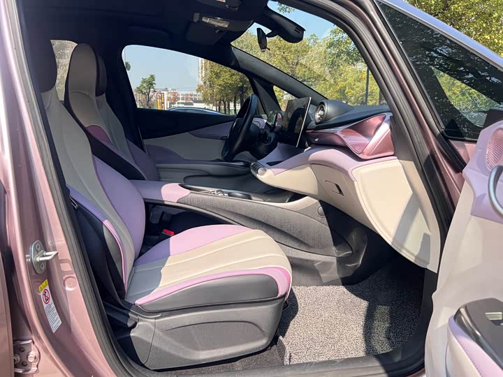 Фото 6 - BYD Dolphin