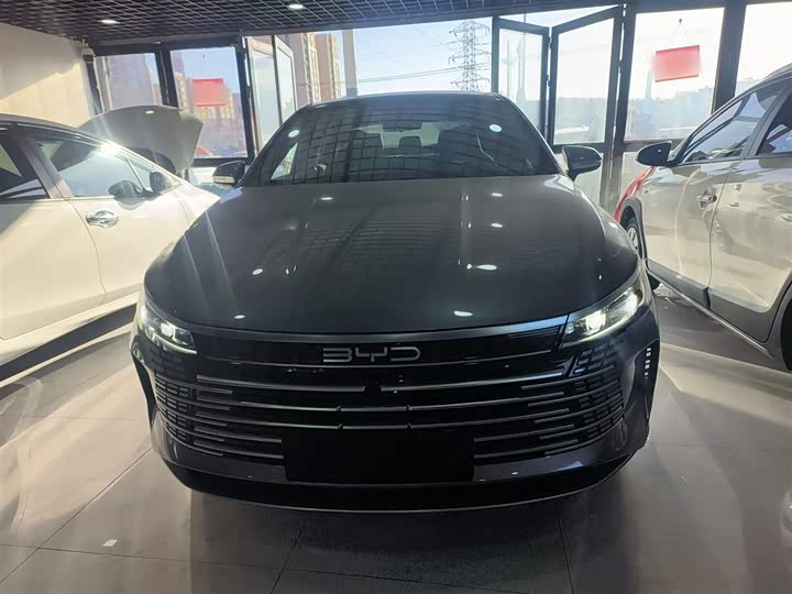 Фото 3 - BYD Destroyer 05