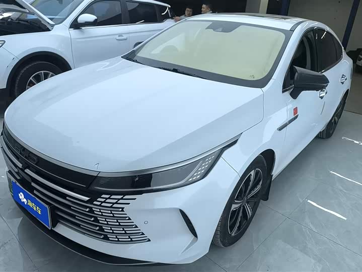 Фото 1 - BYD Destroyer 05