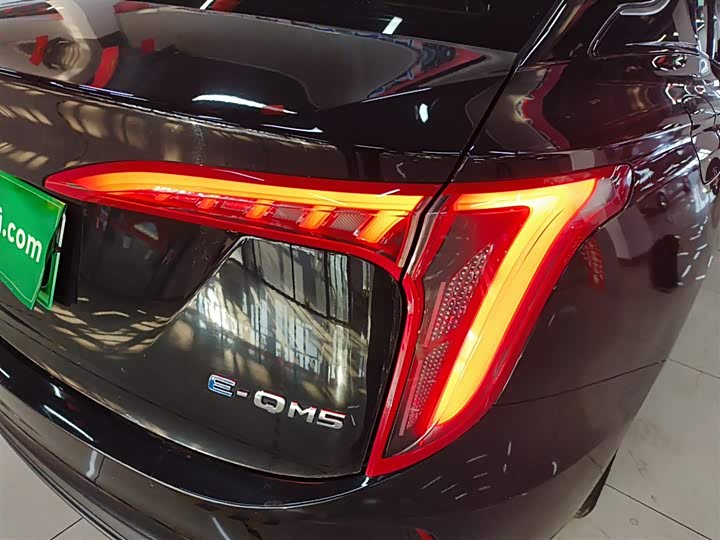 Фото 8 - Hongqi E-QM5