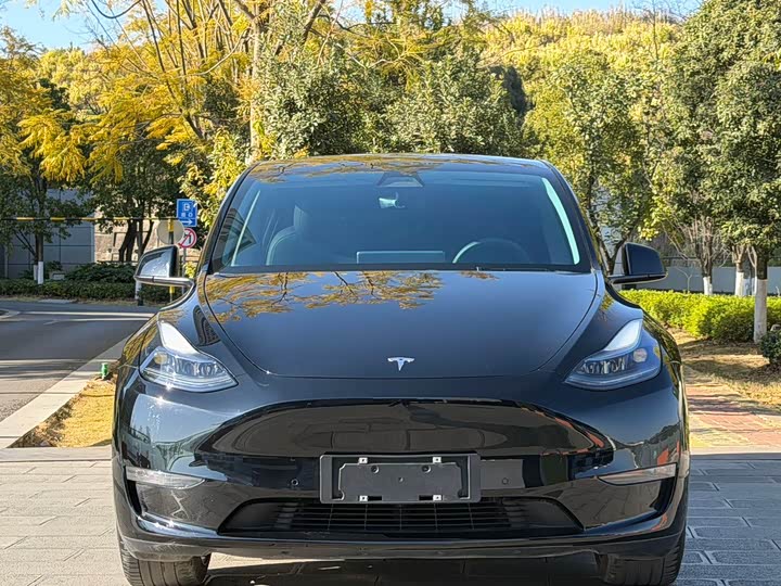 Фото 2 - Tesla Model Y