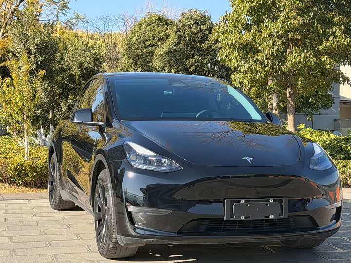 Фото 3 - Tesla Model Y