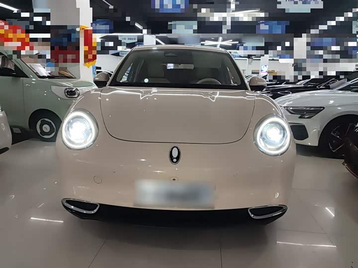 Фото 3 - Ora Good Cat (03)