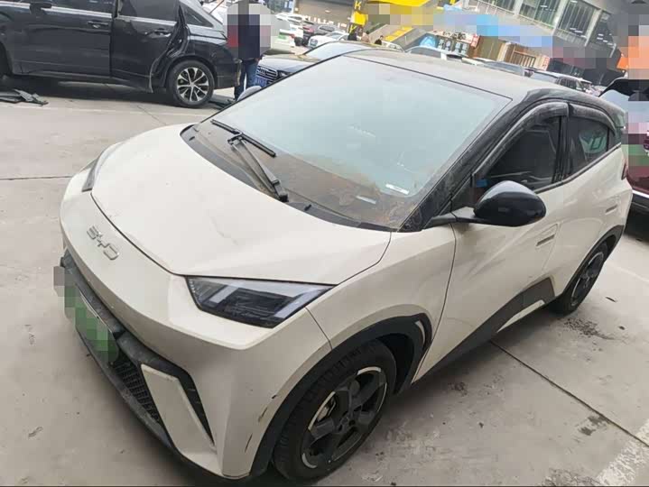 Фото 1 - BYD Seagull