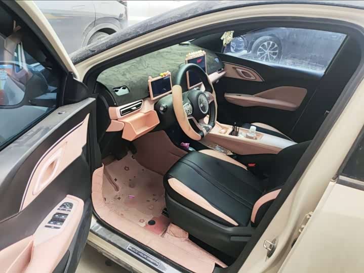 Фото 3 - BYD Seagull