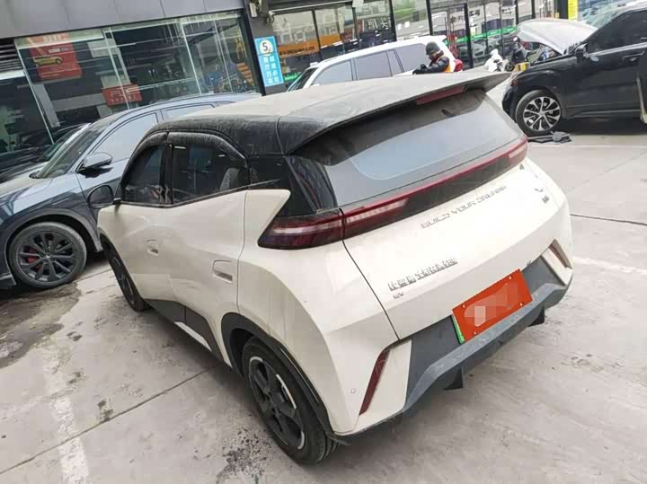 Фото 4 - BYD Seagull