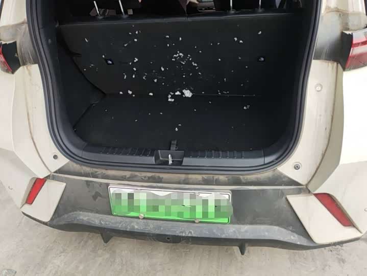 Фото 8 - BYD Seagull