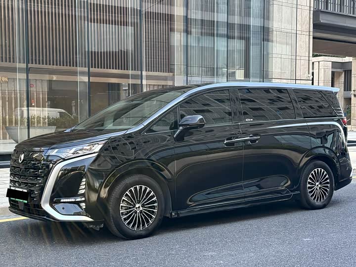 Фото 1 - Denza D9