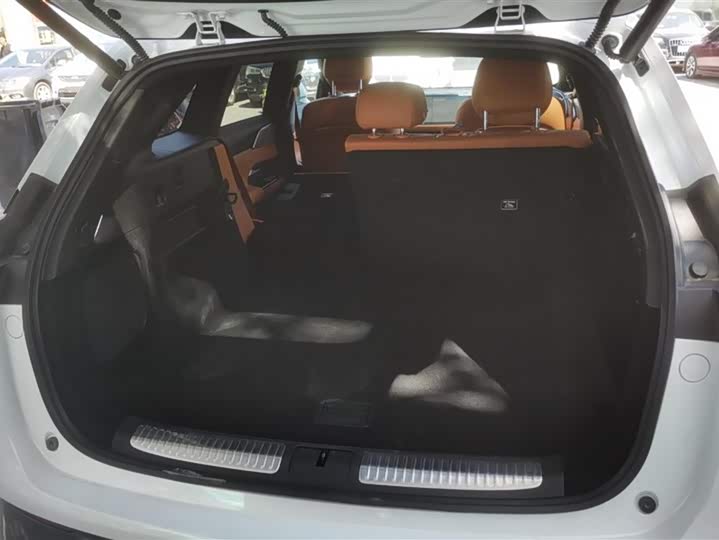 Фото 4 - XPeng G9