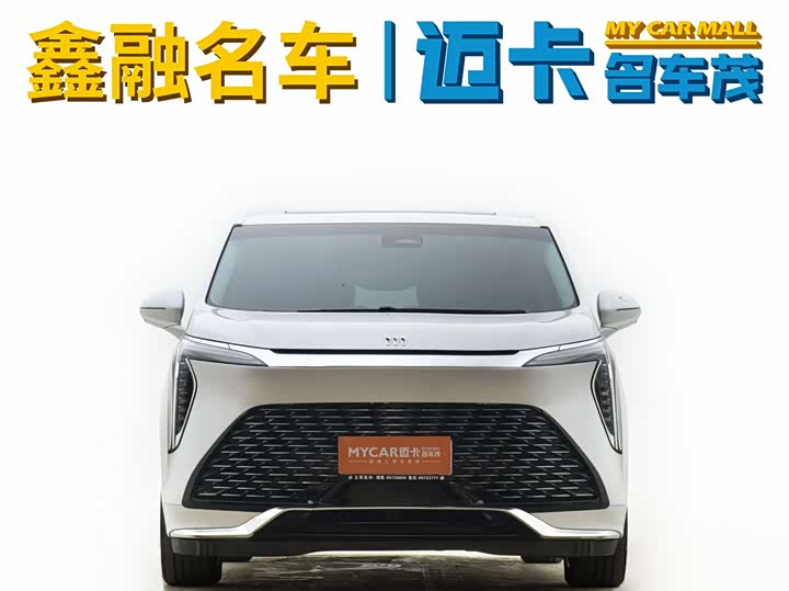 Фото 2 - Buick GL8 Century