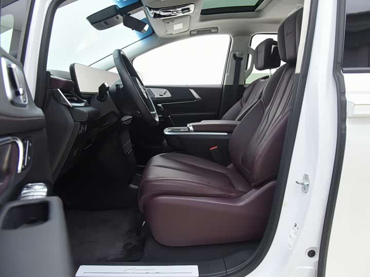 Фото 5 - Buick GL8 Century