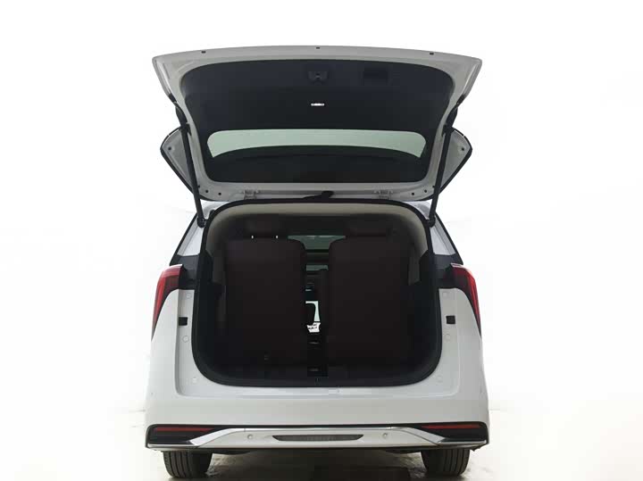 Фото 9 - Buick GL8 Century