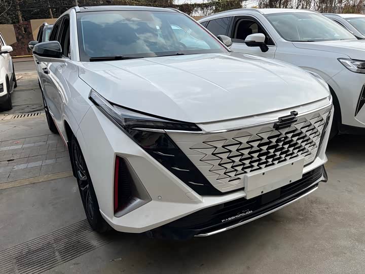 Фото 2 - Changan Oshan Z6