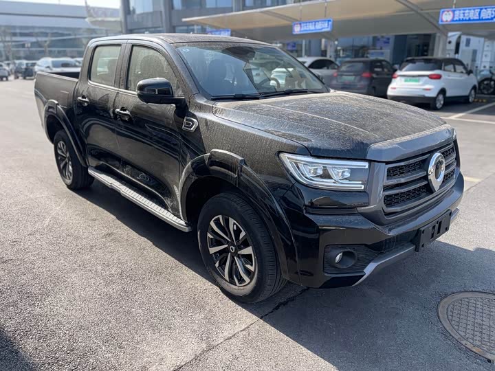 Фото 3 - Great Wall Pao