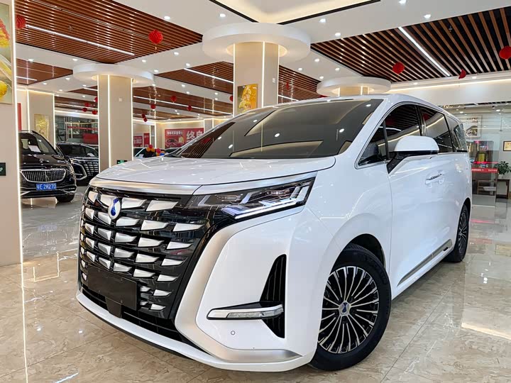 Фото 1 - Denza D9