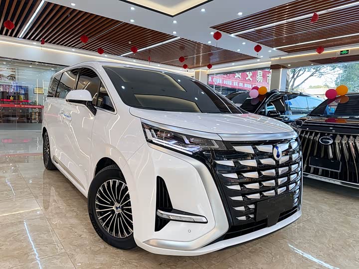 Фото 3 - Denza D9