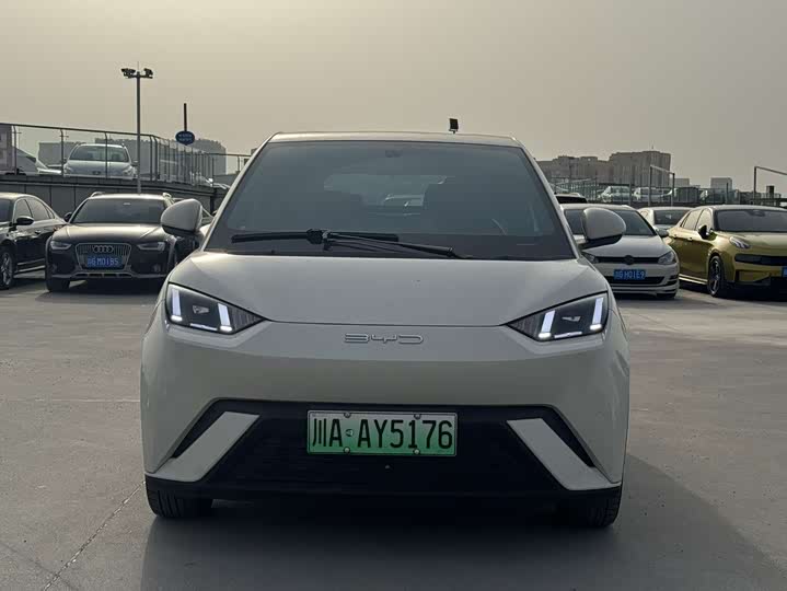 Фото 2 - BYD Seagull