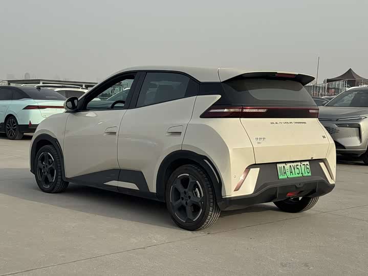 Фото 4 - BYD Seagull