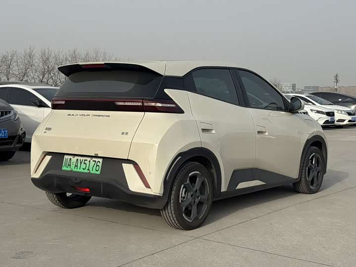 Фото 6 - BYD Seagull