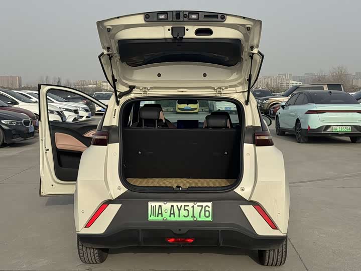 Фото 8 - BYD Seagull