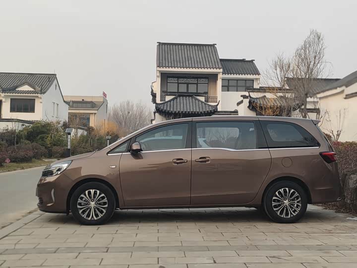 Фото 4 - Buick GL8 ES