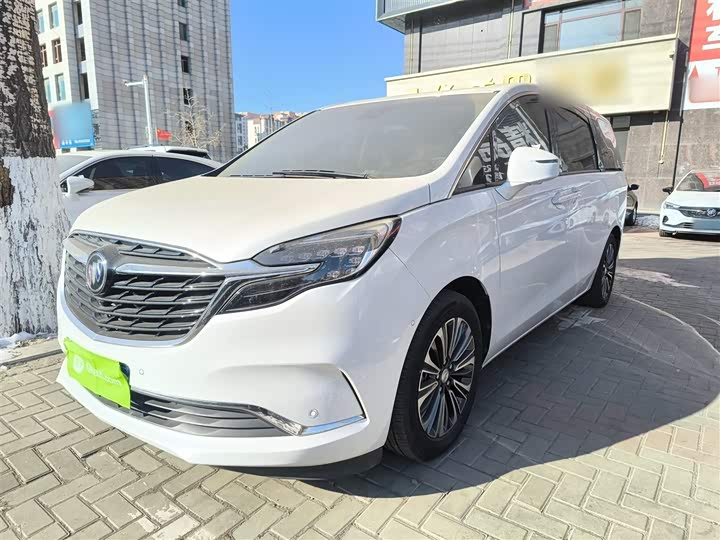 Фото 1 - Buick GL8 ES