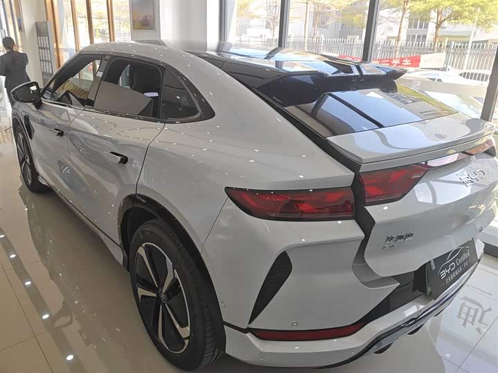 Фото 5 - BYD Song L