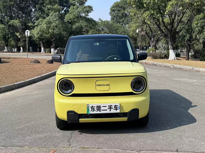 Фото 1 - Geely Galaxy Panda Mini