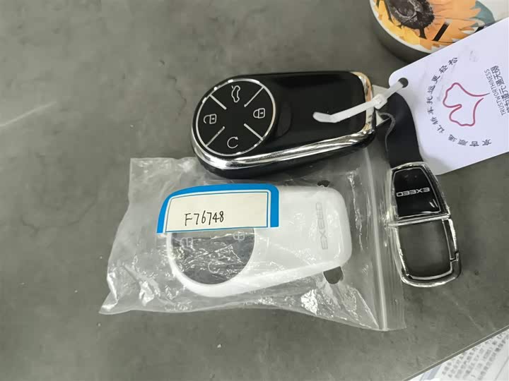 Фото 9 - Exeed VX