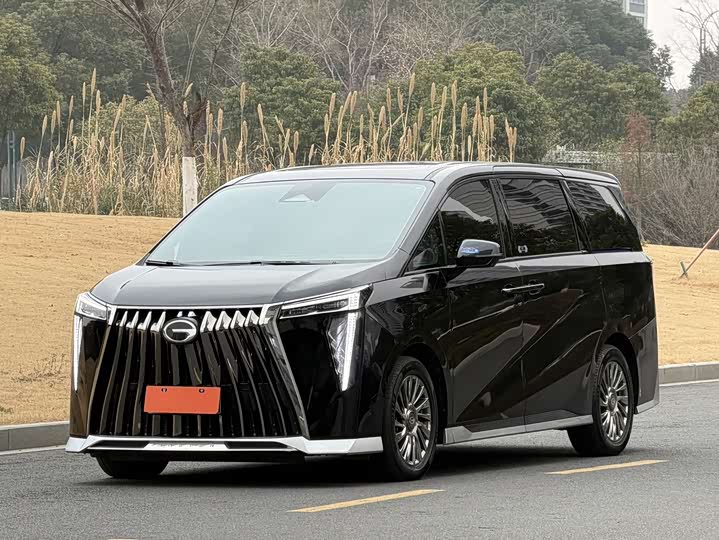 Фото 1 - GAC Trumpchi M8