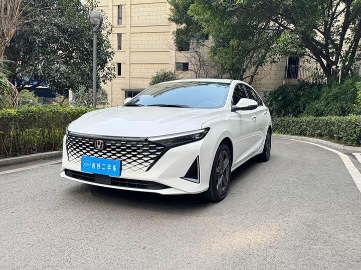 Фото 1 - Changan Raeton Plus