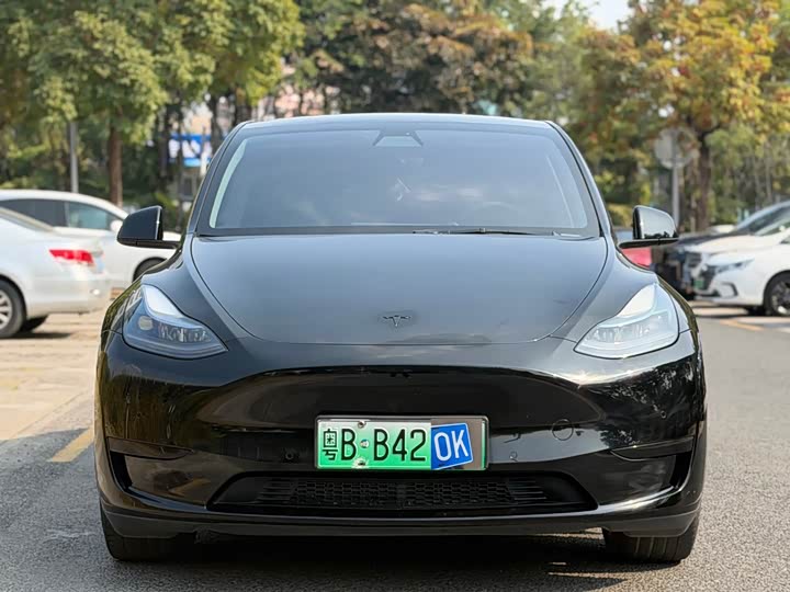 Фото 1 - Tesla Model Y