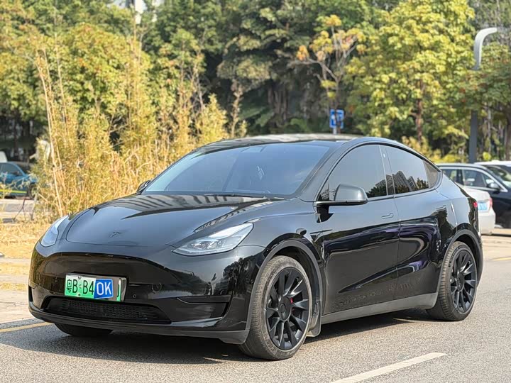 Фото 2 - Tesla Model Y