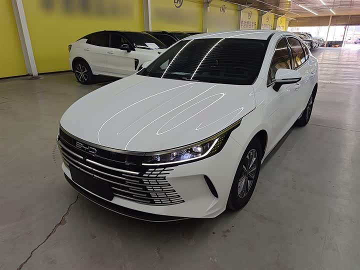 Фото 2 - BYD Destroyer 05