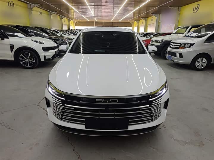 Фото 3 - BYD Destroyer 05