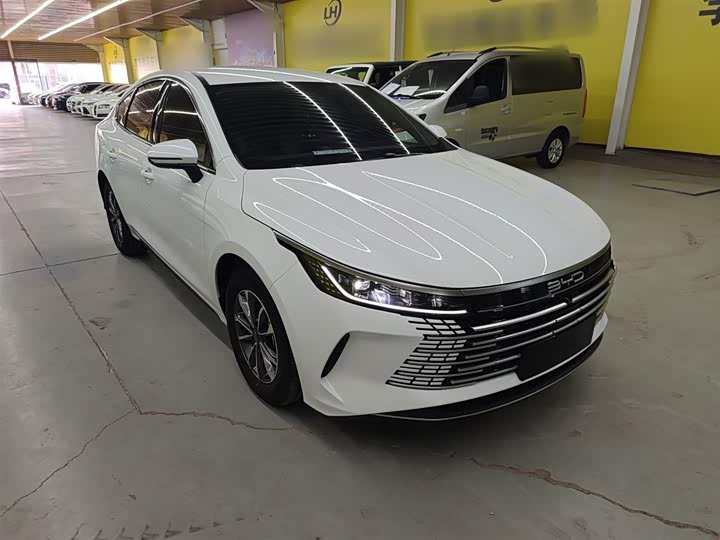 Фото 4 - BYD Destroyer 05