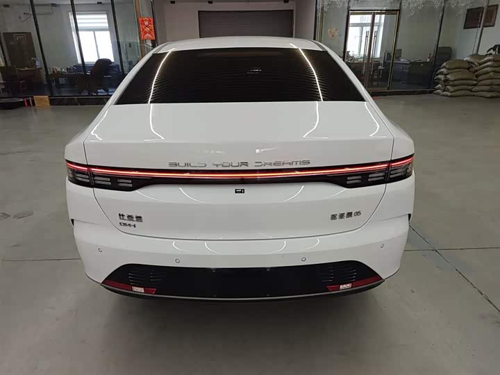 Фото 6 - BYD Destroyer 05