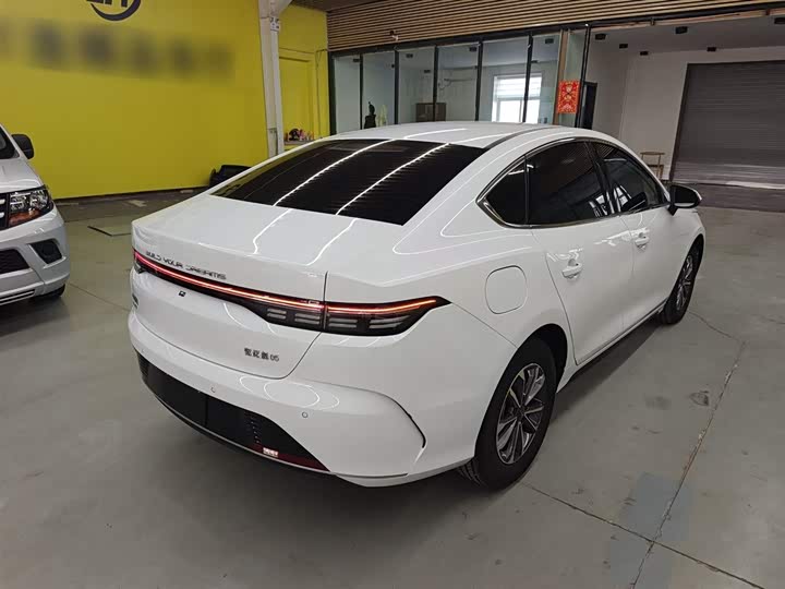 Фото 7 - BYD Destroyer 05