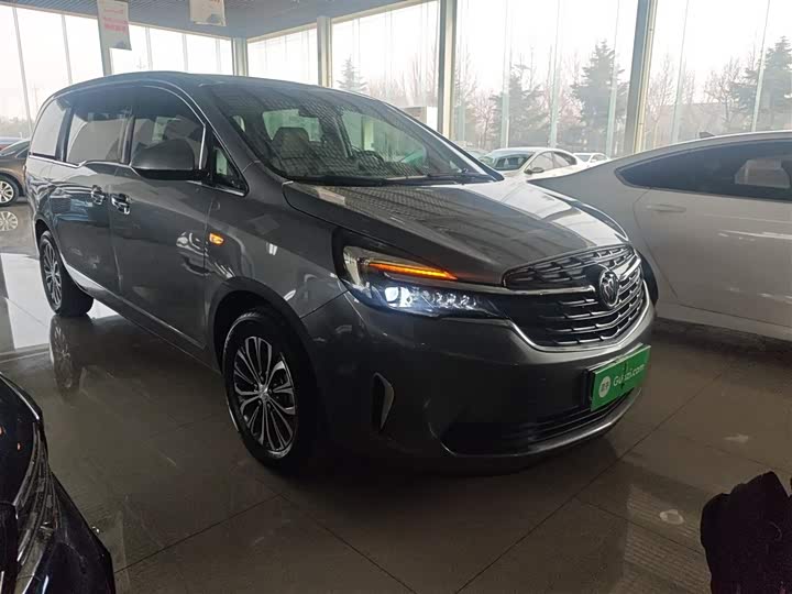 Фото 4 - Buick GL8 ES