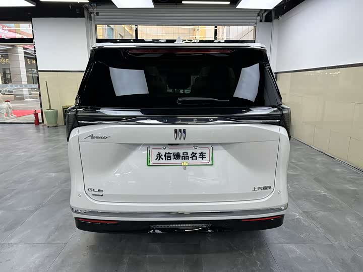 Фото 5 - Buick GL8 Hybrid