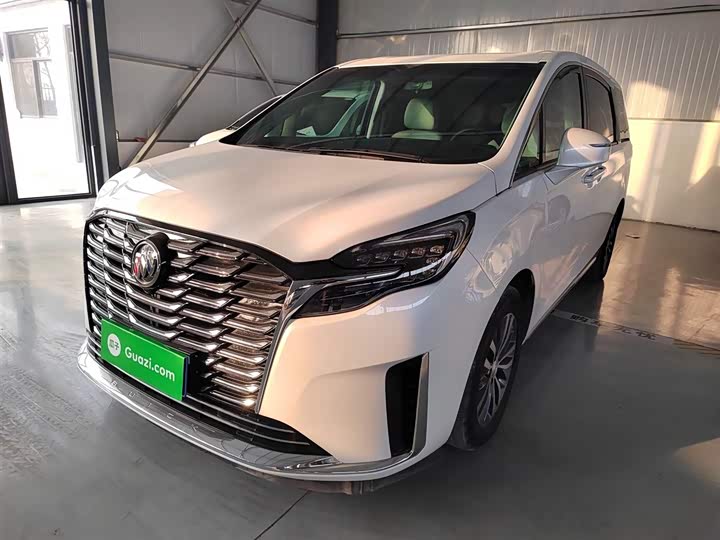 Фото 2 - Buick GL8 ES